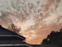 -东湖磨山景区