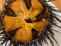 -海胆小馆(东北水饺·春柳店)