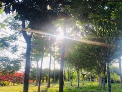 -洨河生态公园