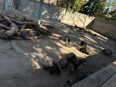 -昆明动物园