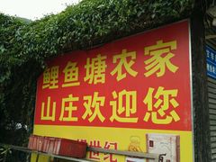 -鲤鱼塘农家山庄