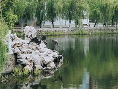 -孺子亭公园