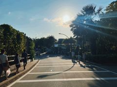 -圣淘沙天际线斜坡滑车