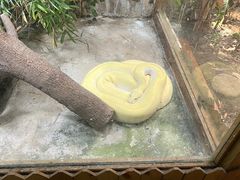 -上海大自然野生昆虫馆(东方明珠·爬宠昆虫探索中心)