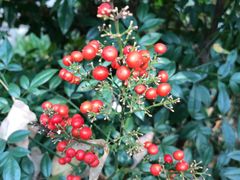 -昆明市金殿名胜区