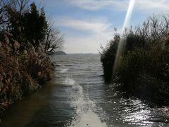 -捞渔河湿地公园