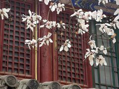 -潭柘寺景区