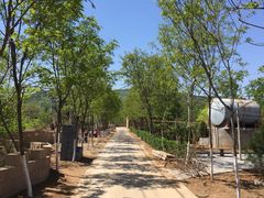 -老王烫面角(北京路店)