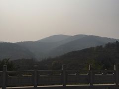 -原山国家森林公园