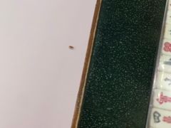 -七爺清汤腩(南开大悦城店)