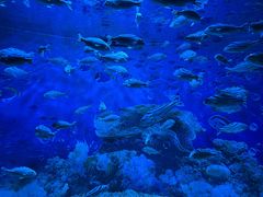 -海合安成都极地海洋公园