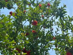 -山东大学(软件园校区)