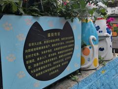 -猫咪博物馆(顶澳仔猫街店)