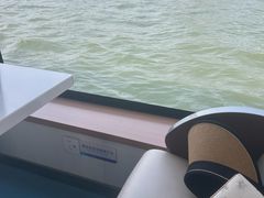 -金鸡湖桃花岛