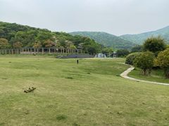 -龙寺生态园