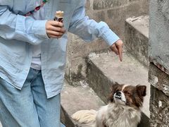 -东极岛景区