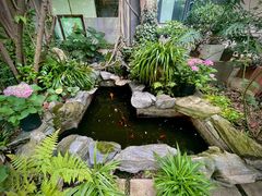 -谷咖啡·鲜花绿植花园餐厅