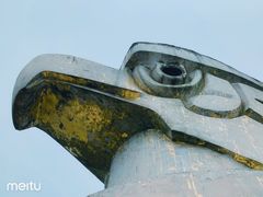 -大金鹰园