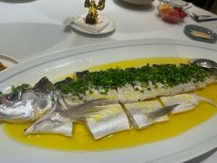 清蒸大白鱼-悦融·京鲁菜·露台花园(安定门店)
