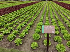 -中国天府农业博览园