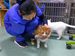 -康乐宝动物医院