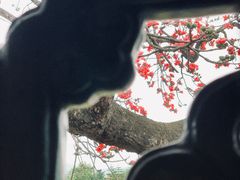 -大旗头古村