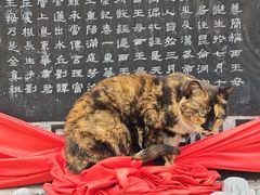 -长春观