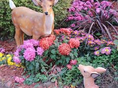 -上海共青森林公园