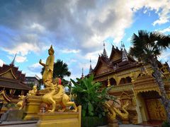 -西双版纳勐泐文化旅游区