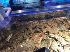 -V-ONE西雅图海鲜自助餐厅(仓山万达广场店)