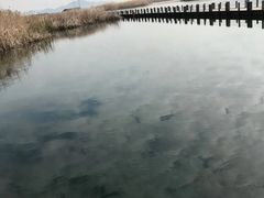 -苏州太湖湖滨国家湿地公园