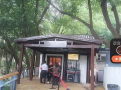 -马王堆汉墓遗址