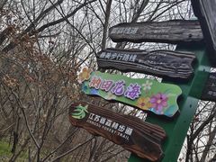 -江苏三台山国家森林公园
