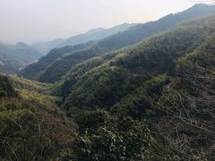 -径山寺