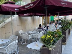 -哈根达斯(深圳海岸城店)