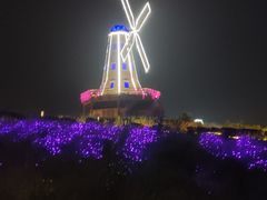 -大塘金香草谷