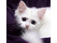 -中关村生命科学园