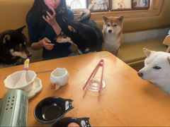 -柴の食堂·日式家庭料理·熊之肆(大学路店)