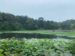 -承德避暑山庄景区