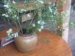 -悦哉·派对·草坪婚礼·围炉煮茶(三圣乡店)