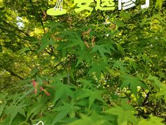 -南山风景名胜区