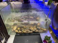 -宴立方海鲜自助(义乌万达广场店)