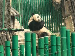 -大连森林动物园