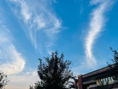 -武清南湖绿博园