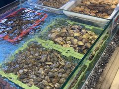 -钱山海鲜大排档