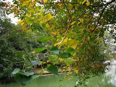 -白塘生态植物园