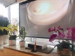 -蝶舍·MAISON PAPILLON