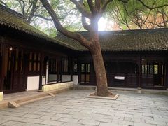 -上海醉白池公园