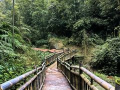 -蜀南竹海景区