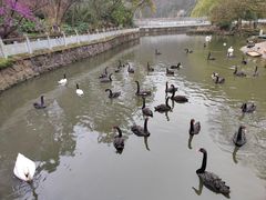 -黔灵山公园